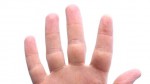 body parts-fingers