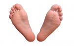 body parts-foot