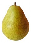 fruits pear