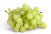 g-grapes